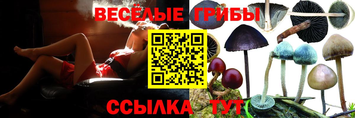 Псилоцибиновые грибы Magic Shrooms Усинск