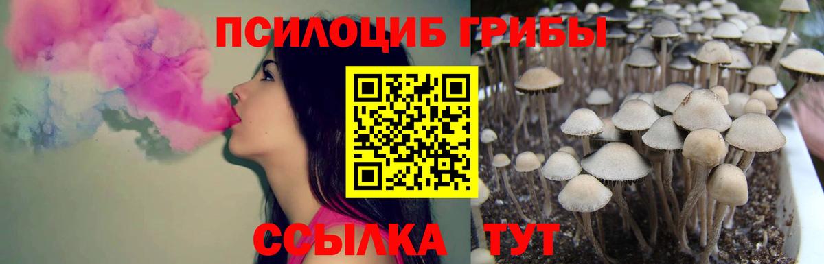 Усинск  Псилоцибиновые грибы Cubensis  Вход с VPN  Галлюциногенные грибы Psilocybine cubensis 